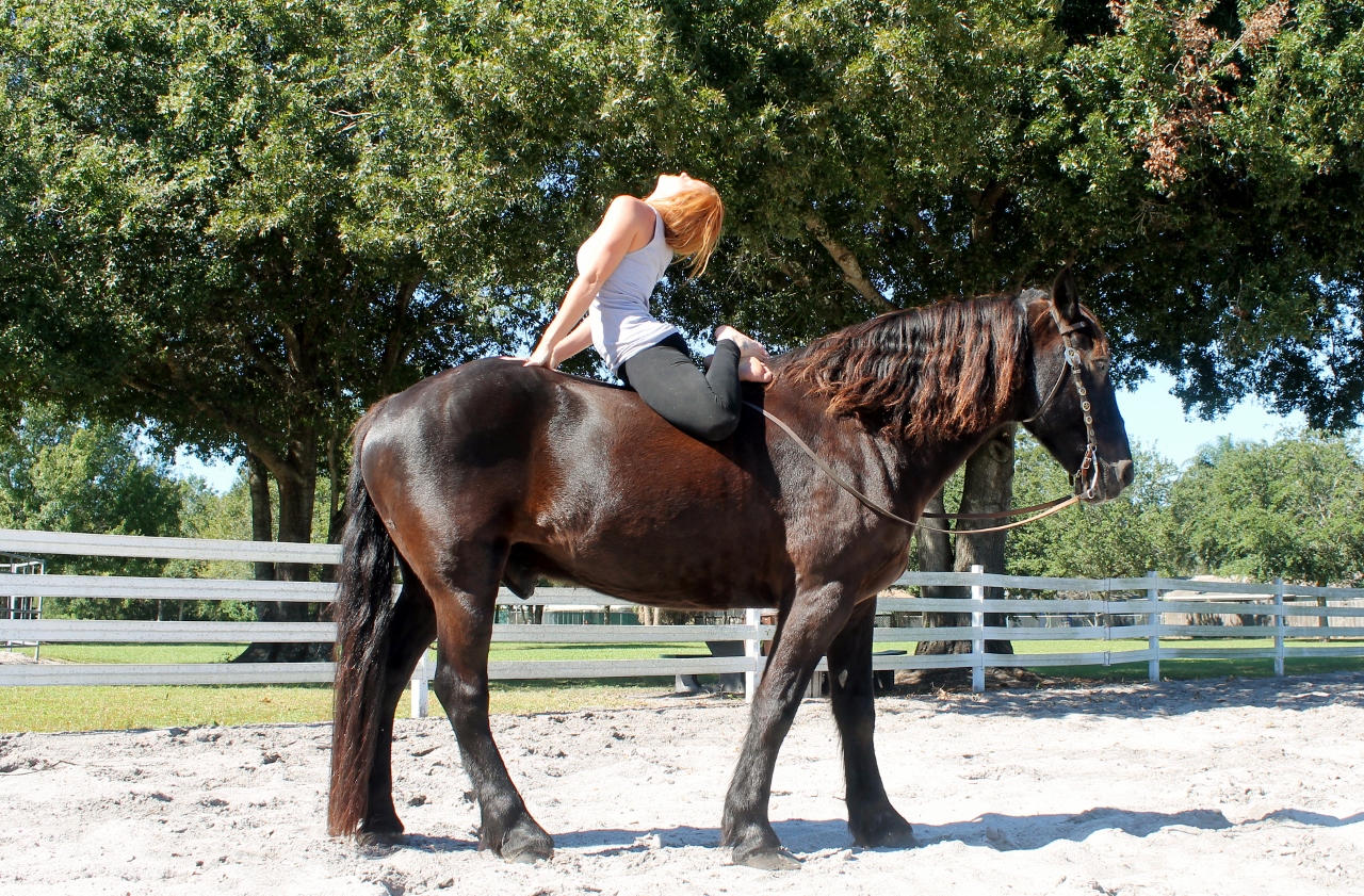 Αποτέλεσμα εικόνας για Horseback Yoga