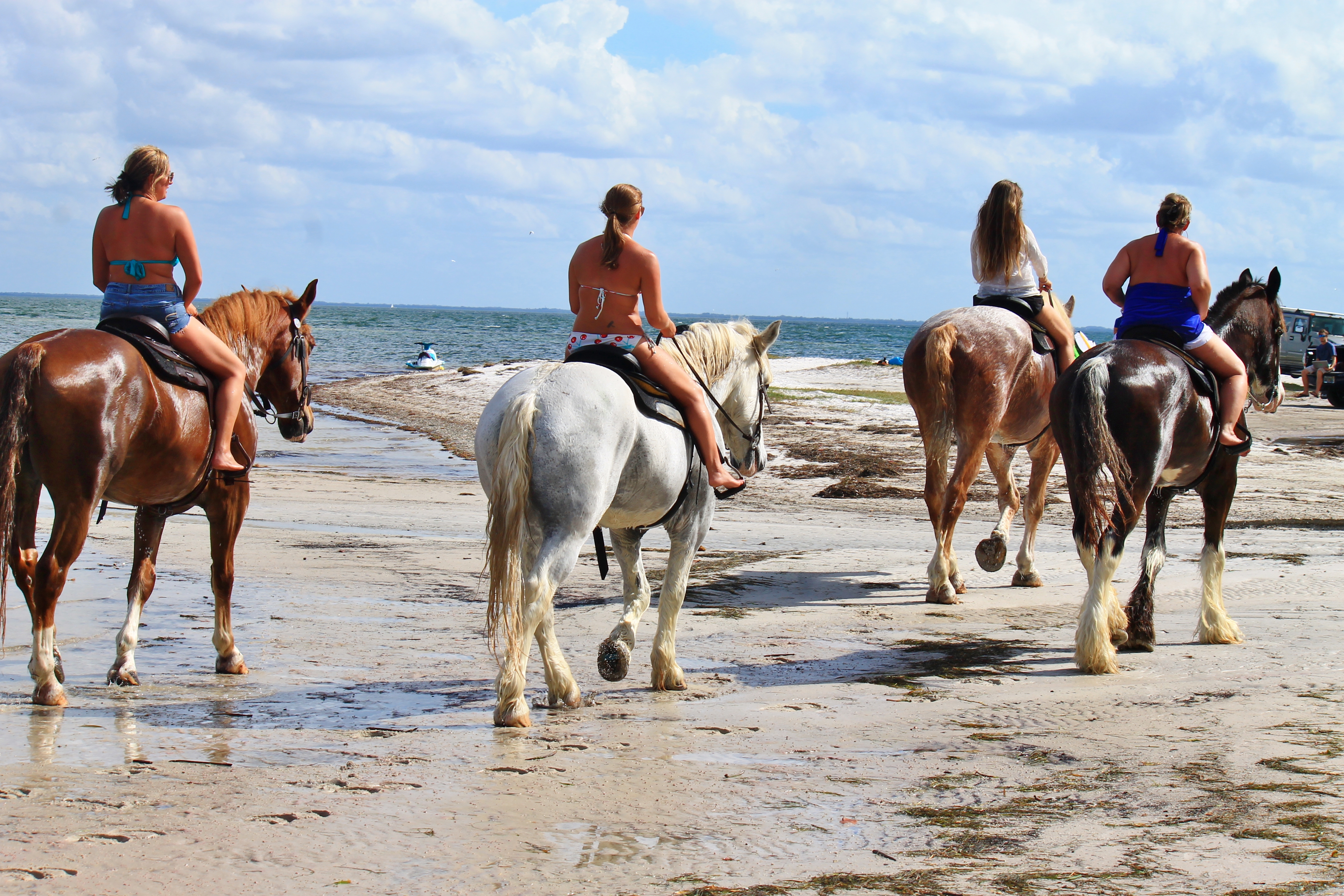 FLorida beach Horse back rides - Cypress Breeze Farm Horseback Trail